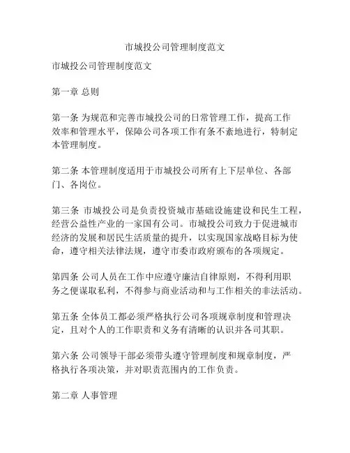 市城投公司管理制度范文