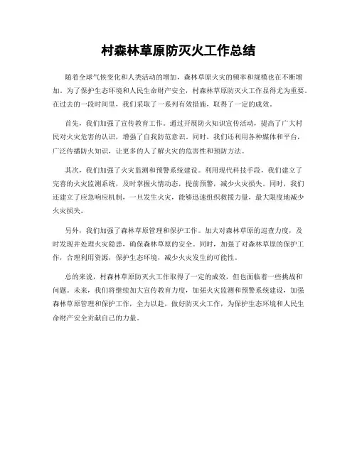 村森林草原防灭火工作总结