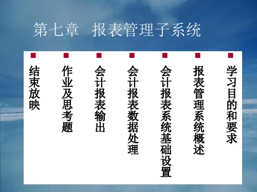 《报表管理系统概述》PPT幻灯片