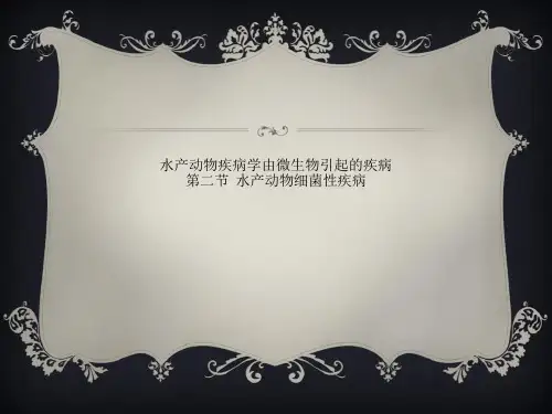 水产动物疾病学由微生物引起的疾病第二节  水产动物细菌性疾病