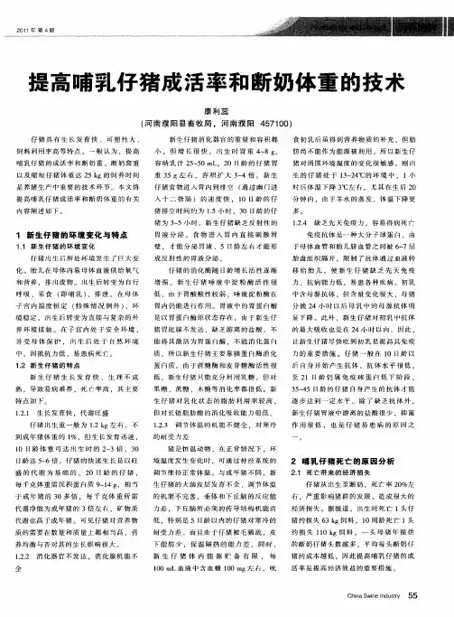 提高哺乳仔猪成活率和断奶体重的技术