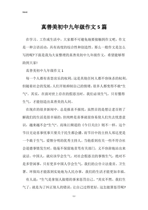 真善美初中九年级作文5篇