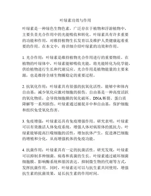 叶绿素功效与作用