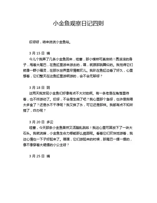 小金鱼观察日记四则