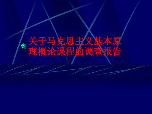 马原调查报告