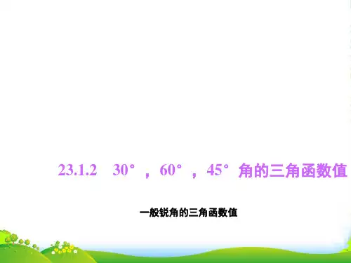 沪科九年级数学上册《一般锐角的三角函数值》课件