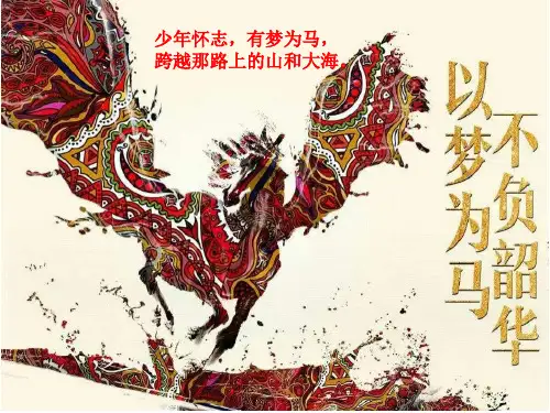 高一班级主题班会——以梦为马,不负韶华