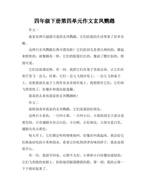 四年级下册第四单元作文玄凤鹦鹉