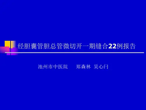 经胆囊管胆总管微切开一期缝合22例课件