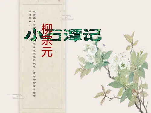 小石潭记PPT-优秀课件