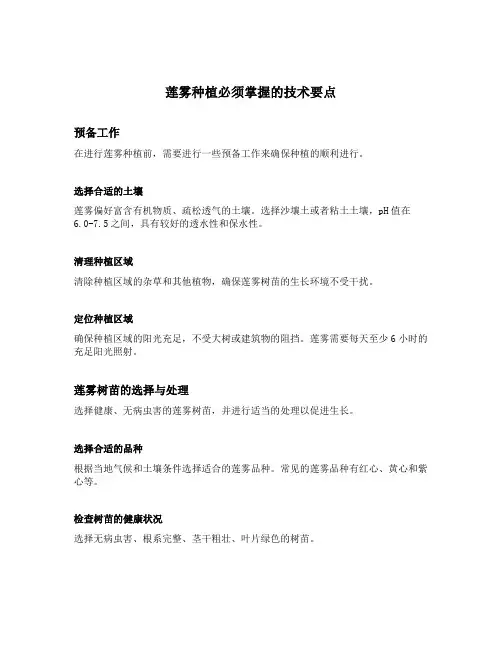 莲雾种植必须掌握的技术要点