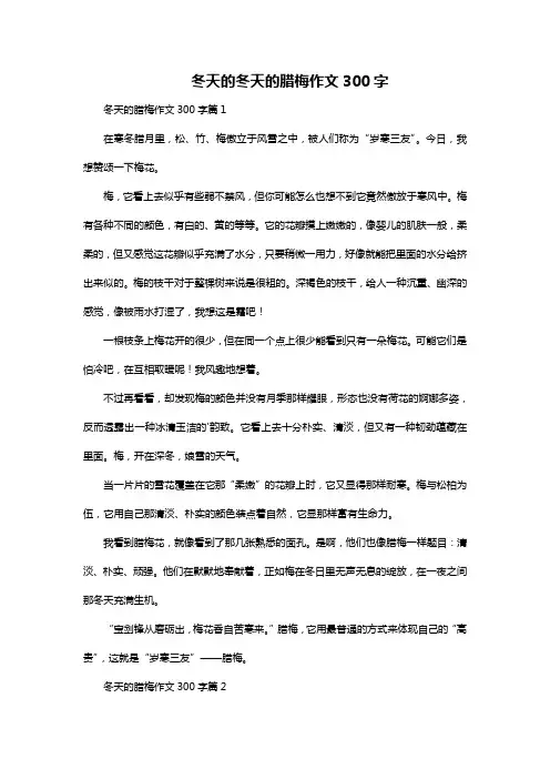 冬天的腊梅作文300字