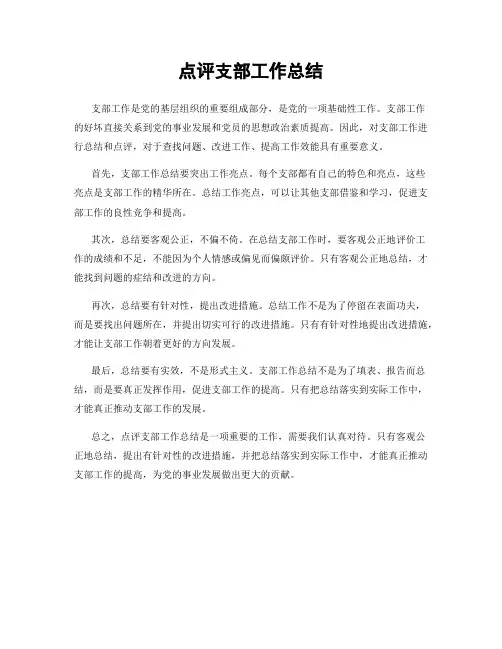 点评支部工作总结