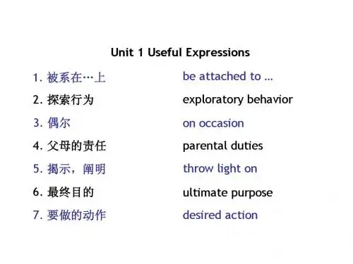 Useful Expressions