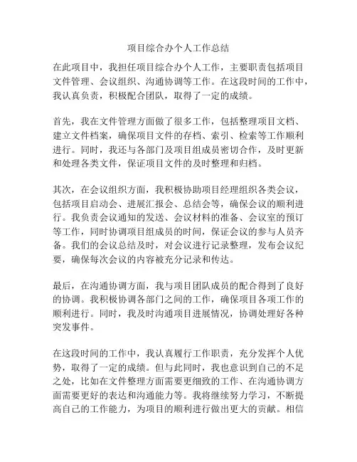 项目综合办个人工作总结