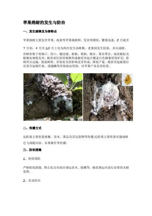 苹果绵蚜的发生与防治