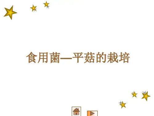 食用菌平菇的栽培