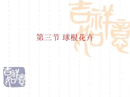 球根花卉