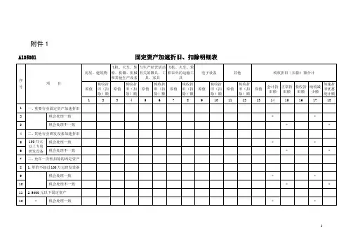 新加速折旧政策