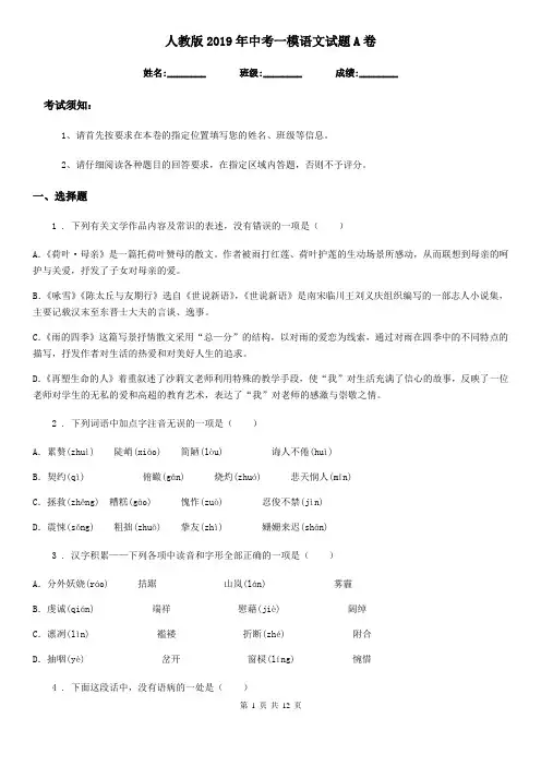 人教版2019年中考一模语文试题A卷