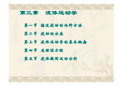 流体运动学