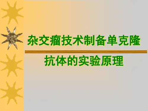 杂交瘤技术的实验原理