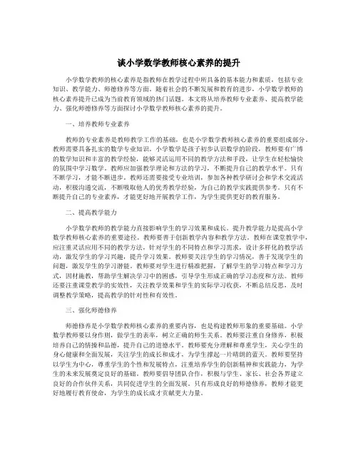 谈小学数学教师核心素养的提升