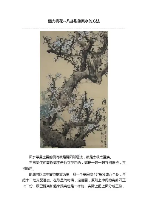 魅力梅花--八卦形象风水的方法
