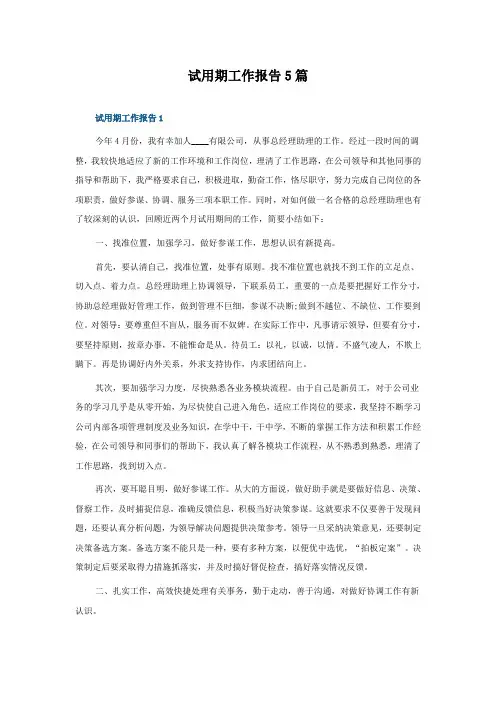 试用期工作报告5篇