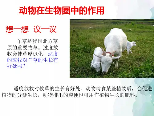 北师大版生物-八年级上册-第17章 动物在生物圈中的作用课件