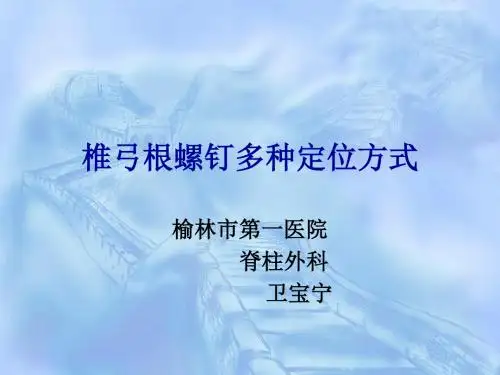 椎弓根螺钉的定位方式借阅-精选文档84页