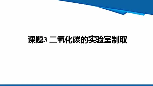 课题3 二氧化碳的实验室制取2024新人教版