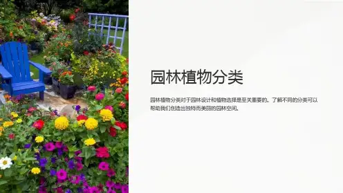 园林植物分类