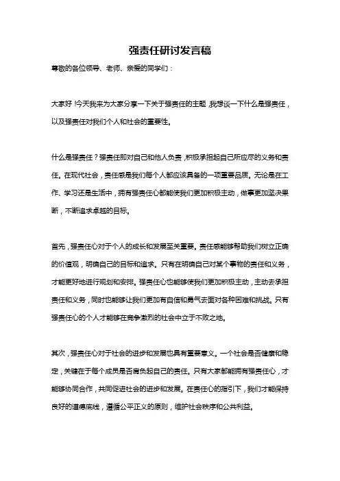强责任研讨发言稿
