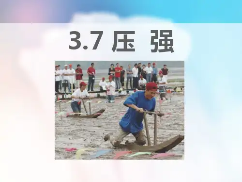 《压强》PPT-完美版