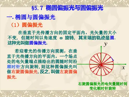 第五章光的偏振椭圆偏振光与圆偏振光