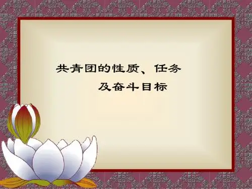 共青团的性质、任务
