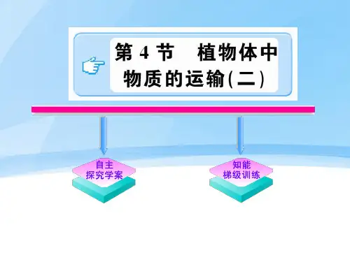 八年级科学下册 3.4.2《植物体中物质的运输》课件 浙教版