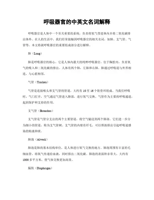 呼吸器官的中英文名词解释