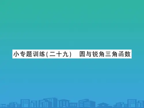 下册 小专题训练 圆与锐角三角函数-2020秋九年级北师大版数学全一册作业课件