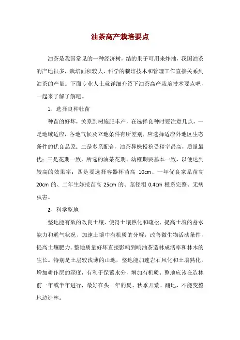 油茶高产栽培要点