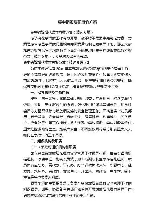 集中销毁烟花爆竹方案范文（精选6篇）