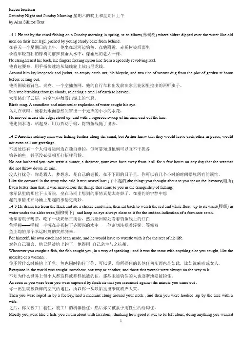 高级英语lesson 14