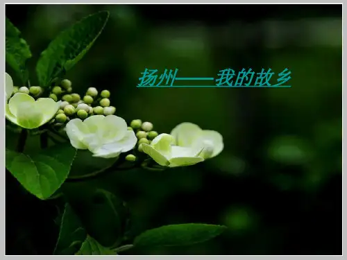 扬州风光介绍ppt