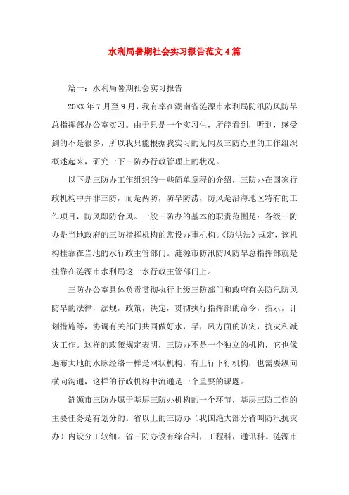 水利局暑期社会实习报告范文4篇