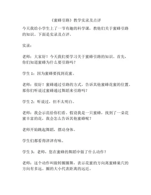 《蜜蜂引路》教学实录及点评