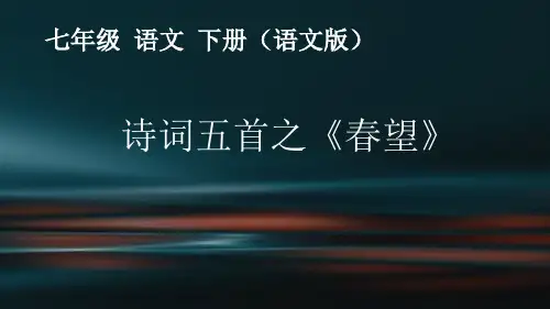 春望-(完美版)课件