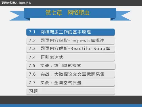 《网络爬虫》PPT课件