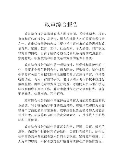 政审综合报告