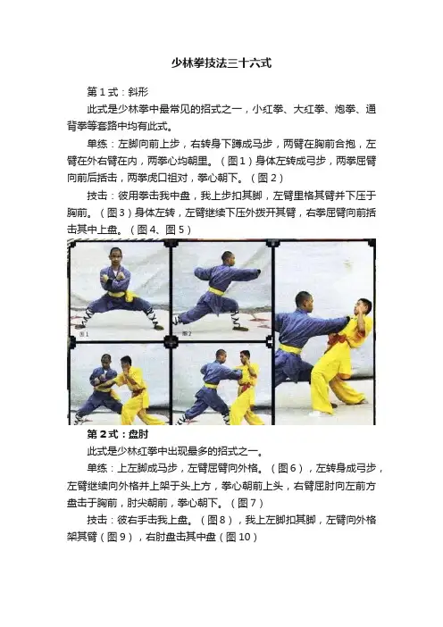 少林拳技法三十六式